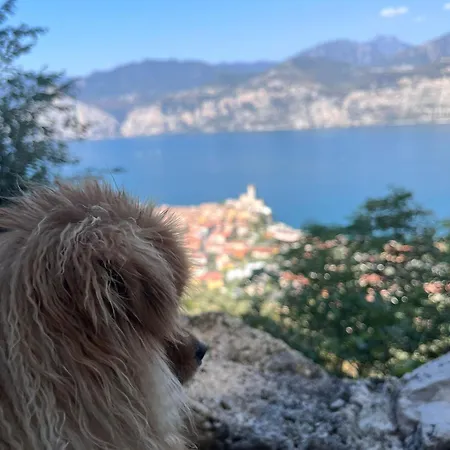 Apart Otel Gardesana Active 4*