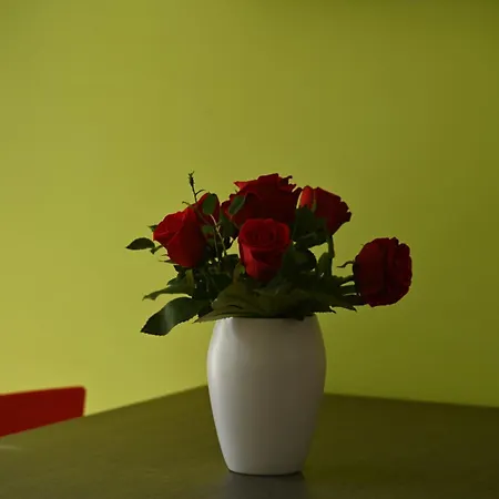 Gardesana Active 4* Malcesine