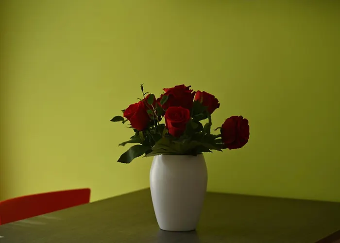 Gardesana Active 4* Malcesine