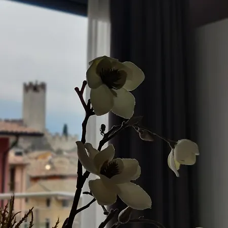 Апарт-отель Gardesana Active 4*