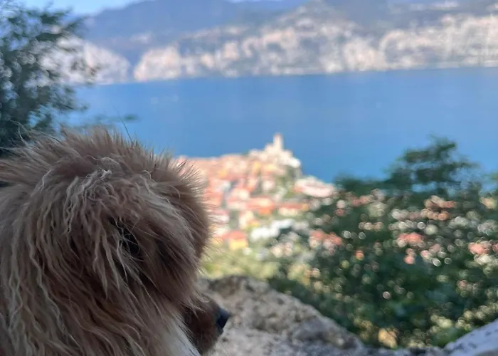 Ξενοδοχείο με διαμερίσματα Gardesana Active 4*